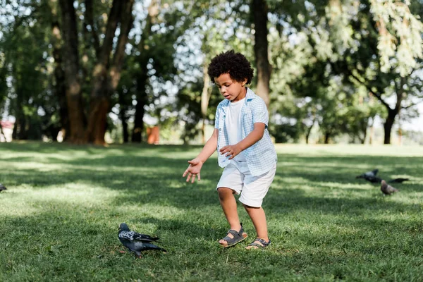 Bonito afro-americano miúdo gestos enquanto olhando para pombos — Fotografia de Stock