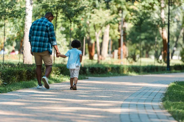 Vista trasera del niño rizado cogido de la mano con el padre afroamericano y caminando en el parque - foto de stock