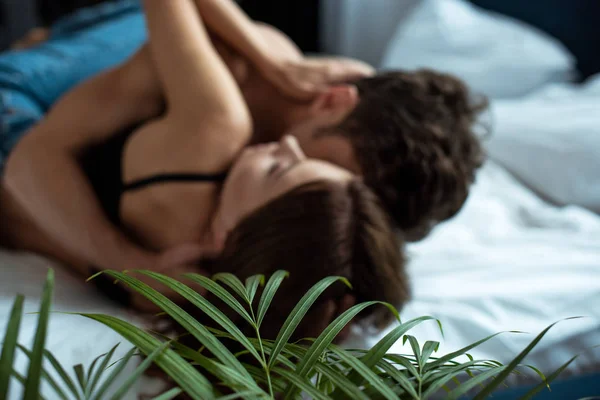 Selective focus of green plant near man and woman in bedroom — Stock Photo