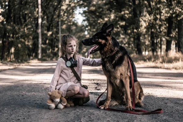 Niño molesto con osito de peluche tocando perro pastor alemán en la carretera, concepto post apocalíptico - foto de stock