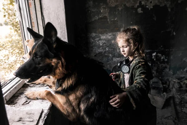 Селективное внимание ребенка, трогающего немецкую овчарку в заброшенном здании, постапокалиптическая концепция — стоковое фото