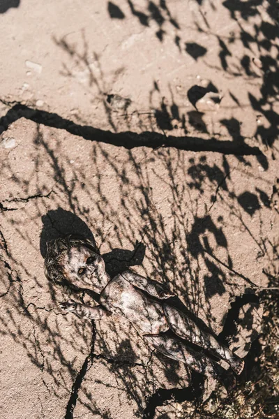 Top view of shadows on abandoned and scary baby doll on ground, post apocalyptic concept — Stock Photo