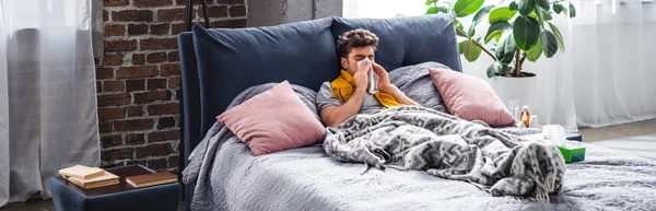 Panoramic shot of sick man in scarf sneezing and lying in bed — Stock Photo