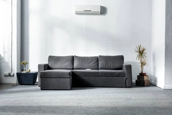 Grey sofa near green plants in modern living room — Stock Photo