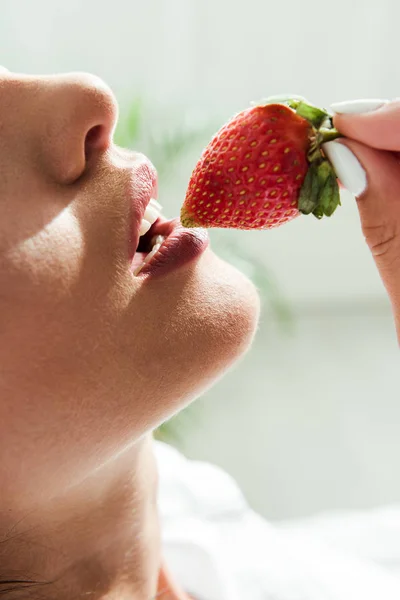 Vista recortada de la mujer comiendo fresa roja por la mañana - foto de stock