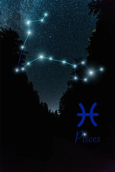 Dark landscape with night starry sky and Pisces constellation — Stock Photo