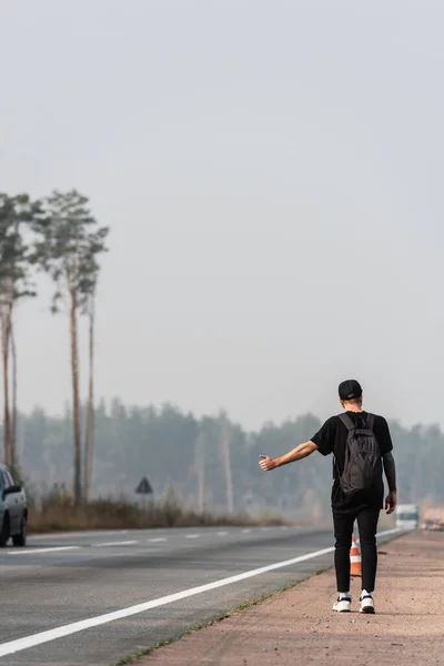 Vue arrière de l'homme avec sac à dos auto-stop sur la route près des arbres verts — Photo de stock