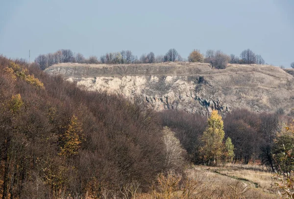 Дерева в лісі біля скель на тлі блакитного неба — стокове фото