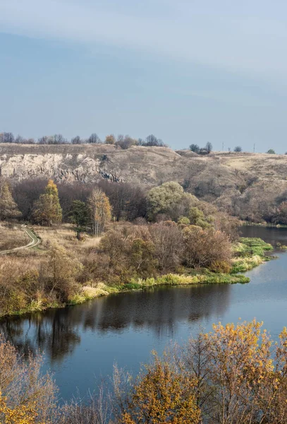 Ставок з водою біля зелених дерев у лісі на тлі блакитного неба — стокове фото