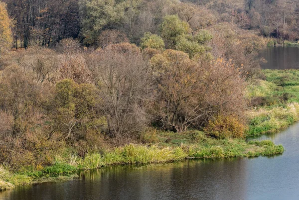 Étang avec de l'eau près de l'herbe verte et des arbres — Photo de stock