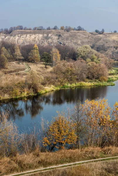 Teich mit Wasser in der Nähe grüner Bäume und Pflanzen gegen blauen Himmel — Stockfoto