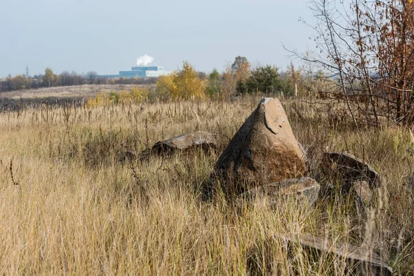 Selektive Fokussierung von Steinen auf einem Feld in Fabriknähe und grüne Bäume gegen den Himmel — Stockfoto