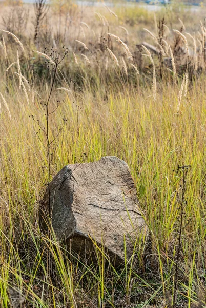 Piedra en el suelo cerca de hierba verde en el campo - foto de stock