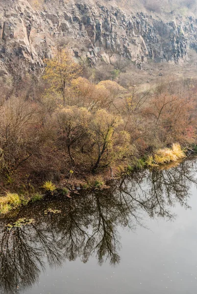 Reflejo de árboles en el lago con agua clara - foto de stock