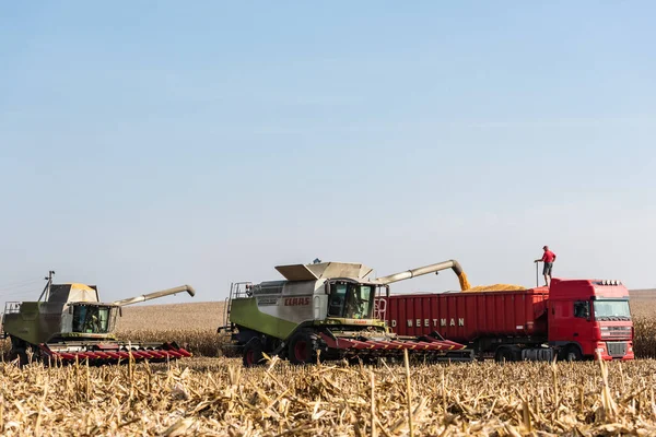 LVIV, UCRANIA - 23 DE OCTUBRE DE 2019: agricultores en tractores cosechando trigo contra el cielo azul - foto de stock