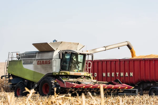 LVIV, UCRANIA - 23 DE OCTUBRE DE 2019: agricultor en tractor con letras de claas cosechando trigo contra el cielo azul - foto de stock