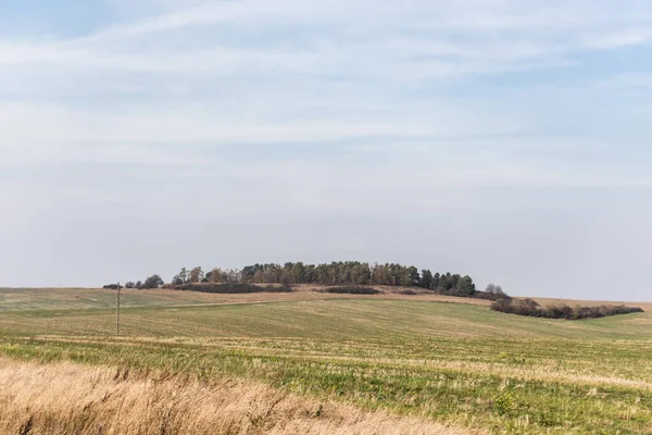 Goldener, grüner und grasbewachsener Rasen vor blauem Himmel — Stockfoto