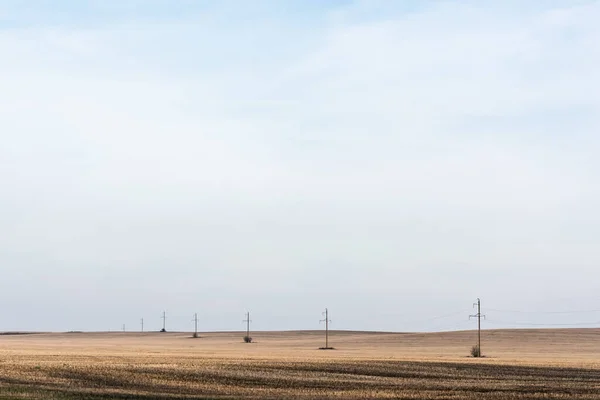 Линия электропередачи рядом с золотым полем против голубого неба — стоковое фото