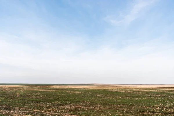 Трав'янистий газон біля поля на тлі блакитного неба з хмарами — стокове фото