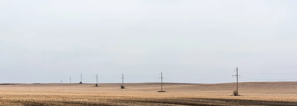 Панорамная концепция линии электропередач вблизи золотого поля на фоне облачного неба — стоковое фото