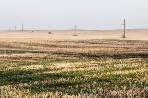 Травянистая лужайка, поле возле линии электропередач против облачного неба — стоковое фото