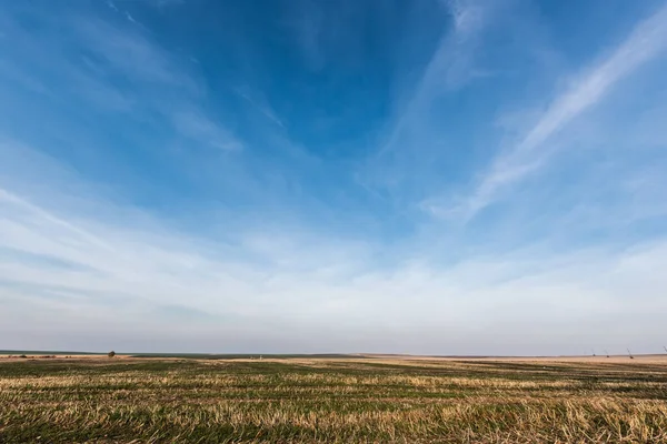 Grassy lawn against blue sky with clouds — Stock Photo