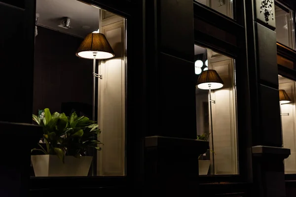 Selective focus of lamps near green plants on window sills — Stock Photo