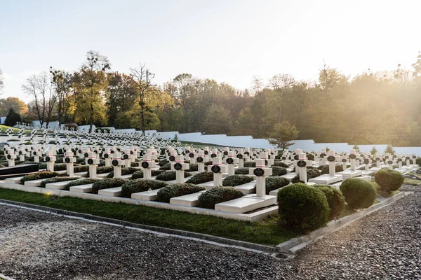 LVIV, UCRAINA - 23 OTTOBRE 2019: luce solare sul cimitero con croci e scritte vicino agli alberi verdi sul cimitero dei difensori di lviv — Foto stock