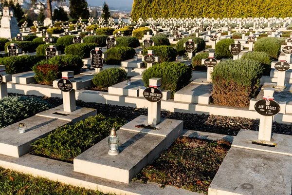 LVIV, UCRÂNIA - OUTUBRO 23, 2019: luz solar em sepulturas com cruzes e letras perto de plantas verdes no cemitério de defensores lviv — Fotografia de Stock