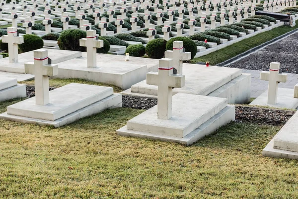 LVIV, UKRAINE - OCTOBER 23, 2019: polish graves and stone crosses in lychakiv cemetery in lviv, ukraine — Stock Photo