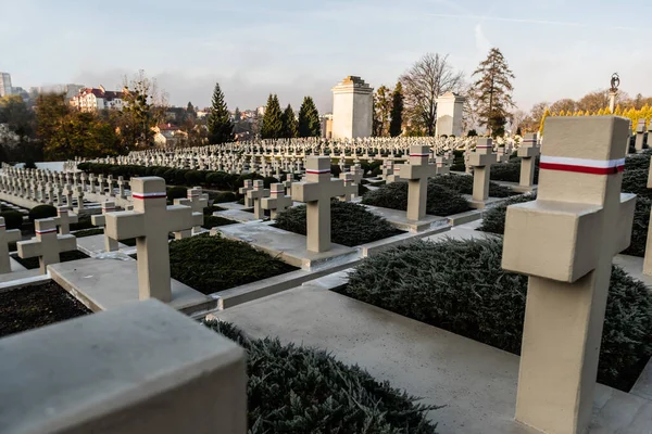 LVIV, UCRAINA - 23 OTTOBRE 2019: tombe lucide con croci di pietra nel cimitero di lychakiv a lviv, Ucraina — Foto stock