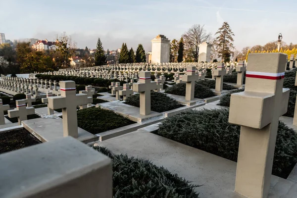 LVIV, UKRAINE - OCTOBER 23, 2019: polish tombs with stone crosses in lychakiv cemetery in lviv, ukraine — Stock Photo