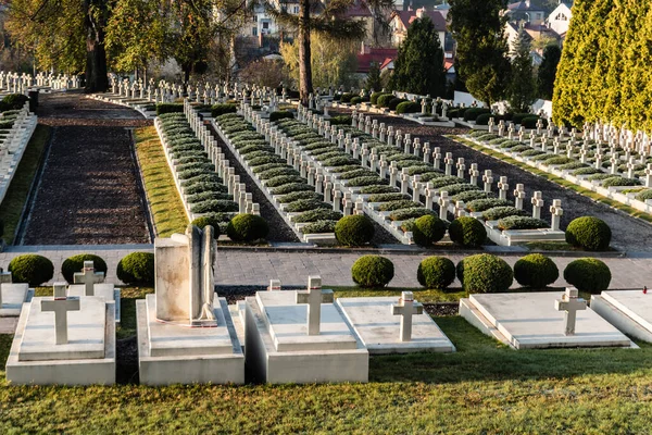 LVIV, UCRÂNIA - OUTUBRO 23, 2019: túmulos polonês com cruzes perto de plantas verdes no cemitério lychakiv em lviv, ucraniana — Fotografia de Stock