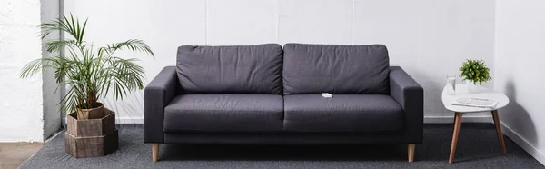 Кімната з сірим диваном і рослинами, заголовок веб-сайту — стокове фото