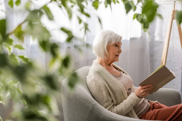 Selective focus of attentive senior woman sitting in armchair and reading book — Stock Photo