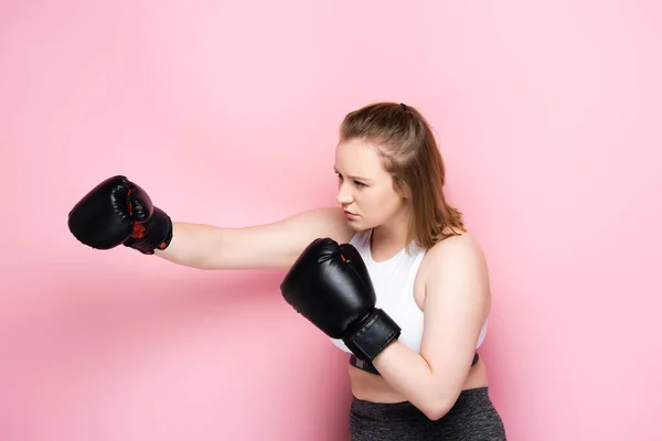 Concentrated size plus girl in sportswear boxing on pink — Stock Photo