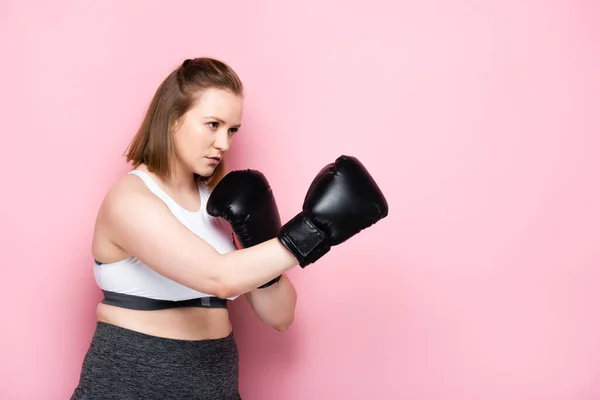 Зосереджена дівчина з надмірною вагою у тренуванні спортивного одягу в боксерських рукавичках на рожевому — стокове фото