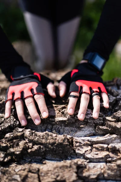 Vue recadrée d'une sportive portant des gants de sport touchant le tronc d'arbre — Photo de stock