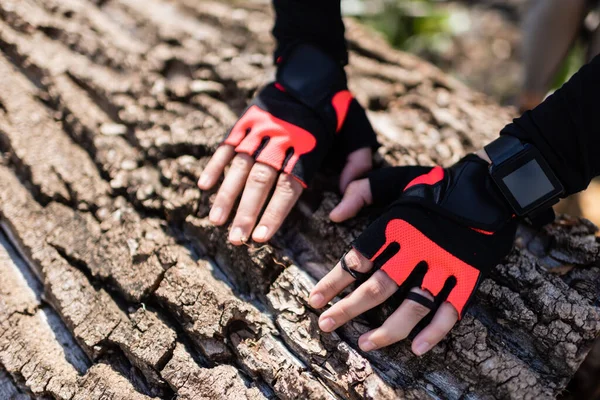 Cropped view of woman in gloves touching tree trunk — Stock Photo