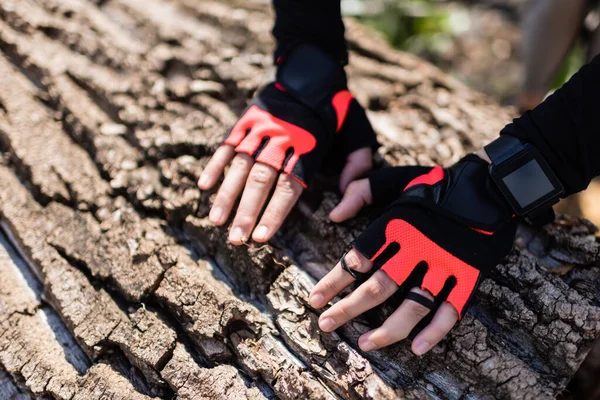 Vista recortada de la mujer en guantes tocando el tronco del árbol - foto de stock