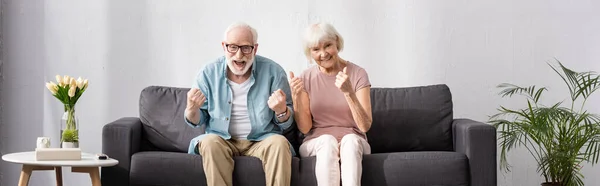 Panoramic shot of smiling elderly couple showing yes and thumbs up gestures on couch at home — Stock Photo