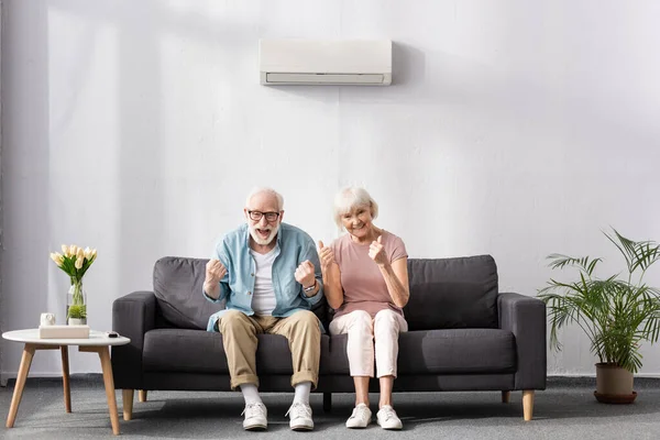 Cheerful senior couple showing thumbs up and yeah gestures on sofa at home — Stock Photo