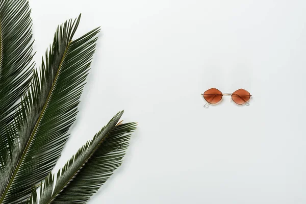 Вид зверху на зелене пальмове листя і модні сонцезахисні окуляри на білому тлі — стокове фото
