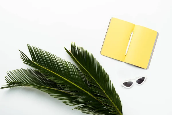 Vista superior de hojas de palma verde cerca de gafas de sol y planificador amarillo sobre fondo blanco - foto de stock