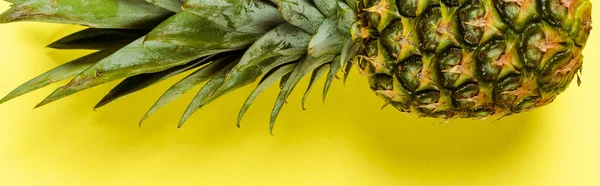 Top view of ripe pineapple on yellow background, panoramic shot — Stock Photo