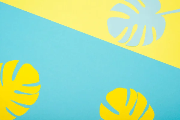 Top view of paper cut palm leaves on blue and yellow background — Stock Photo