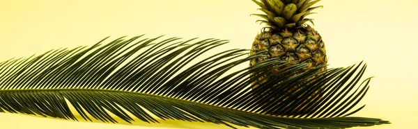 Delicious sweet pineapple and palm leaf on yellow background, panoramic shot — Stock Photo