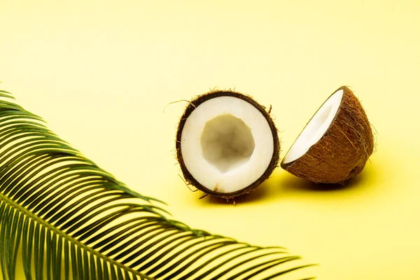 Смачний солодкий кокос і пальмовий лист на жовтому фоні — стокове фото