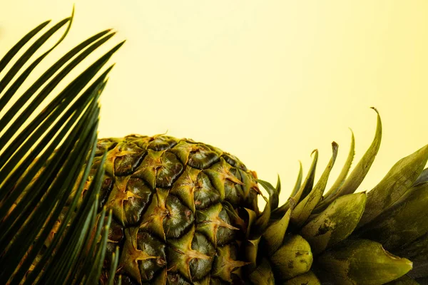 Delicious sweet pineapple and palm leaf isolated on yellow — Stock Photo