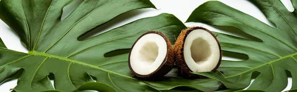 Green palm leaves and coconut halves on white background, panoramic shot — Stock Photo